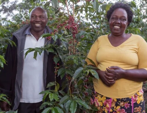 Fair Trade Certified Coffee Retail Partners Update Commitments