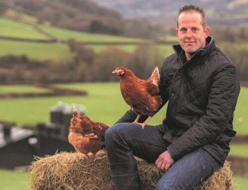 Lidl Great Britain Commits To 100% Free-Range Eggs