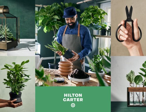Target & Hilton Carter Collab will Help Shoppers Cultivate Your Indoor Oasis